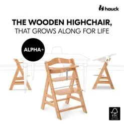 Hauck Alpha+B Hochstuhl -Roba || Pinolino Verkaufsgeschäft 4007923661079.pt01.alpha natural