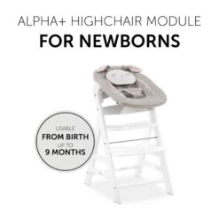 Hauck Alpha Bouncer 2in1 Babywippe Powder Bunny -Roba || Pinolino Verkaufsgeschäft 4007923661826.pt03.alpha bouncer 2 in 1 powder bunny beige bloom