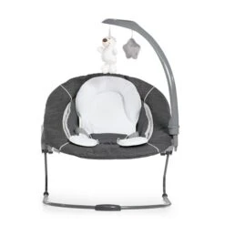 Hauck Alpha Bouncer Deluxe Babywippe -Roba || Pinolino Verkaufsgeschäft 4007923661857.pt04.alpha bouncer deluxe 11740 des grey