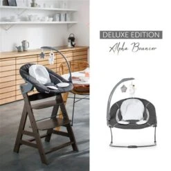 Hauck Alpha Bouncer Deluxe Babywippe -Roba || Pinolino Verkaufsgeschäft 4007923661857.pt12.alpha bouncer deluxe 11740 des grey