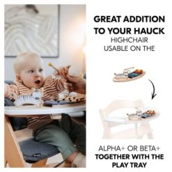 Hauck Play Music Musikspielzeug Aus Holz Für Alpha+ Spielbrett Zebra -Roba || Pinolino Verkaufsgeschäft 4894352808058.pt02.play music