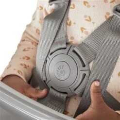 Ergobaby Evolve 3-in-1 Babysitz & Tablett Natural Wood -Roba || Pinolino Verkaufsgeschäft evolve high chair natural wood 24