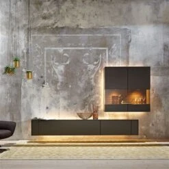 Hülsta Gentis Wohnwand 4 - Akzent Naturstamm - Breite 316,8 Cm