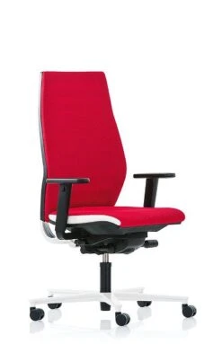 Rovo R12 6060 S6 Mit Rückenpolster Stoff Gaya