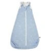Ergobaby Babyschlafsack Paper Planes - Dick TOG 2.5 -Roba || Pinolino Verkaufsgeschäft sleep bag classic paper planes 1 xwnk0henxjut3q3n