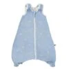 Ergobaby On The Move Schlummersack L 18-36 Paper Planes Dick TOG 2.5 1 Ergobaby On The Move Schlummersack L 18-36 Paper Planes Dick TOG 2.5 -Roba || Pinolino Verkaufsgeschäft sleep bag otm paper planes 2 1 4